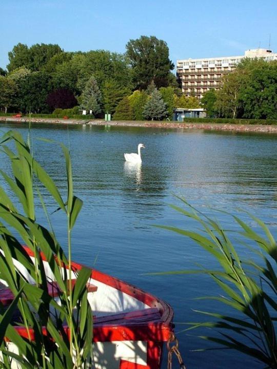 Riviera Park Hotel Balatonfoldvar Luaran gambar